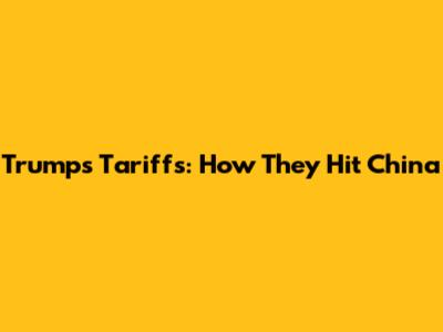 Trump's Tariffs: How They Hit China