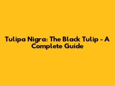 Tulipa Nigra: The Black Tulip - A Complete Guide