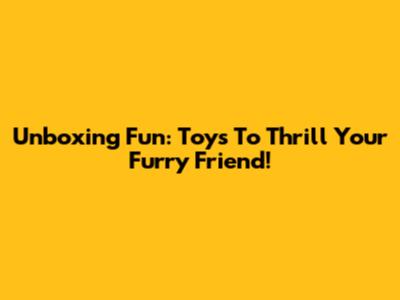 Unboxing Fun: Toys To Thrill Your Furry Friend!