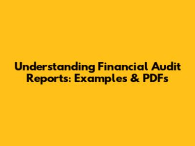 Understanding Financial Audit Reports: Examples & PDFs