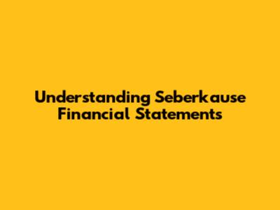 Understanding Seberkause Financial Statements
