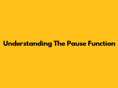 Understanding The Pause Function