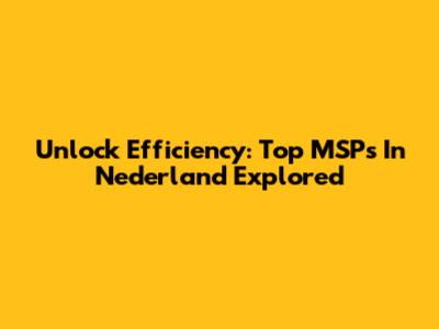 Unlock Efficiency: Top MSPs In Nederland Explored