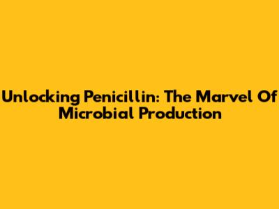 Unlocking Penicillin: The Marvel Of Microbial Production