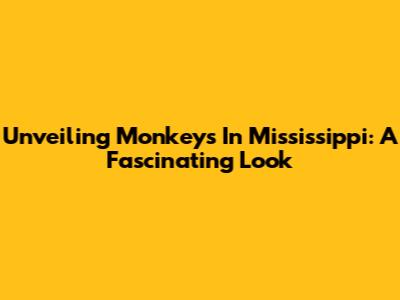 Unveiling Monkeys In Mississippi: A Fascinating Look