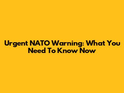 Urgent NATO Warning: What You Need To Know Now
