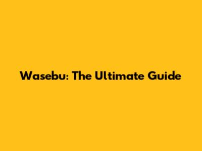 Wasebu: The Ultimate Guide