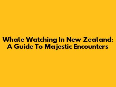Whale Watching In New Zealand: A Guide To Majestic Encounters
