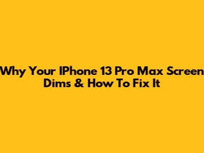 Why Your IPhone 13 Pro Max Screen Dims & How To Fix It